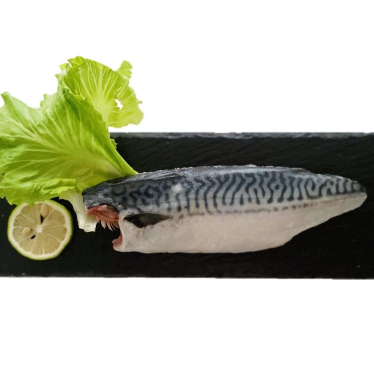 急凍挪威鯖魚/1尾